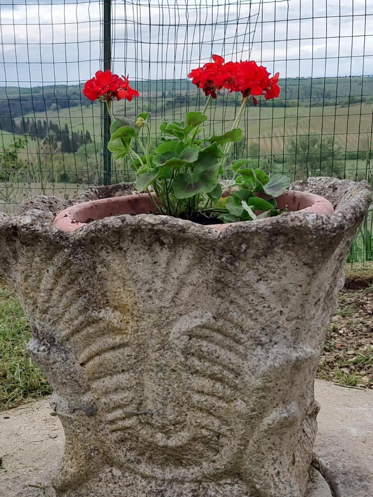 Il Giardino Del Chianti Lejlighed Siena Eksteriør billede