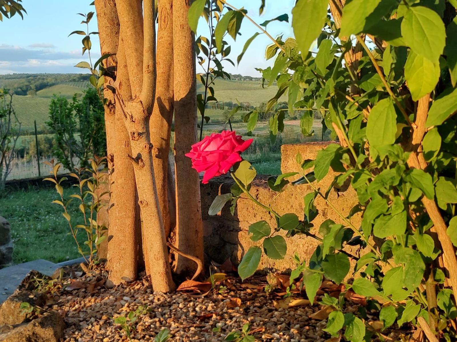 Il Giardino Del Chianti Lejlighed Siena Eksteriør billede