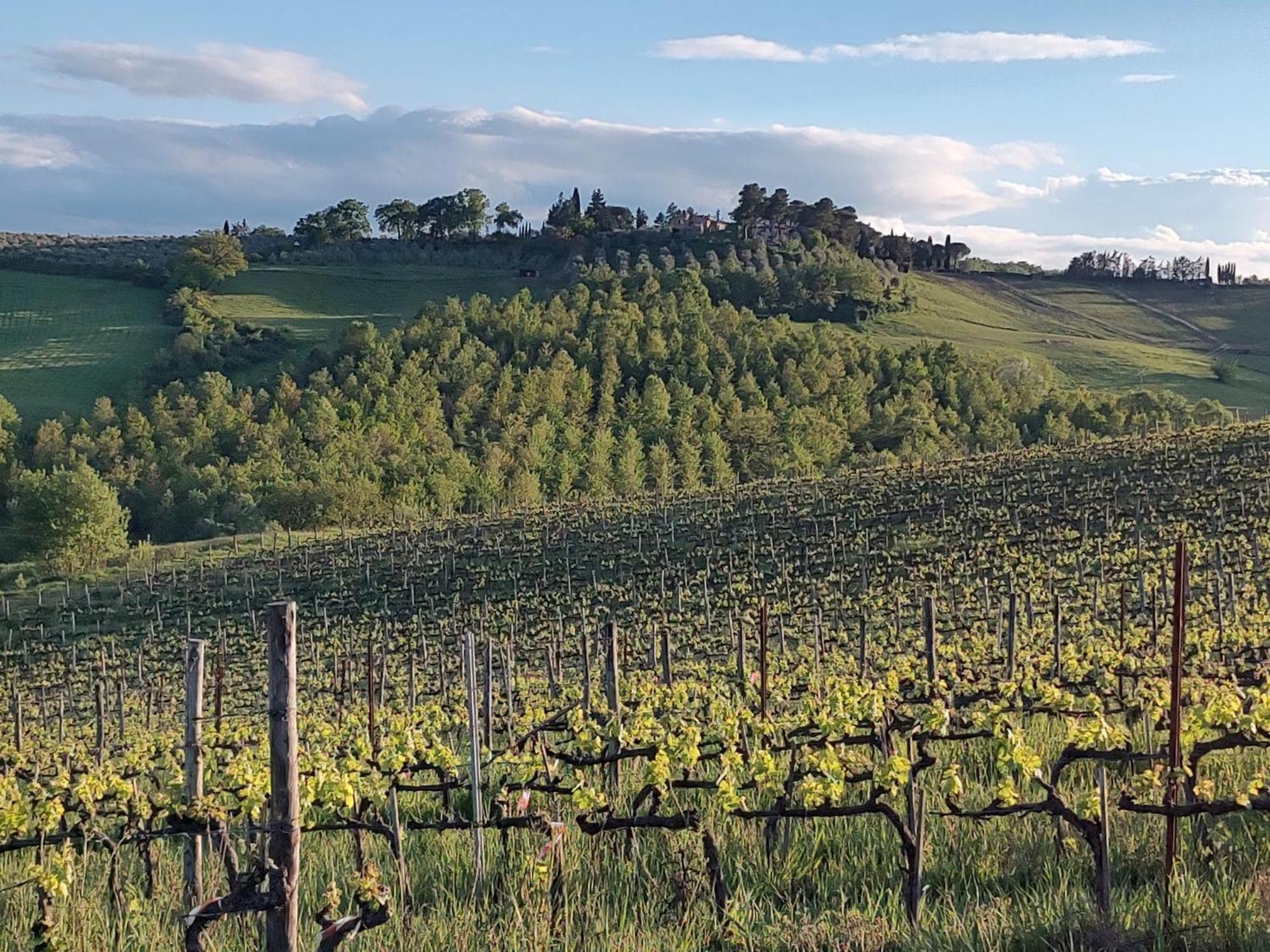 Il Giardino Del Chianti Lejlighed Siena Eksteriør billede